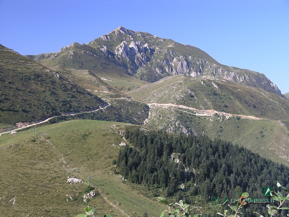 3 - Il Monte Mondolé visto dalla strada sterrata che sale al Rifugio Balma (2011)