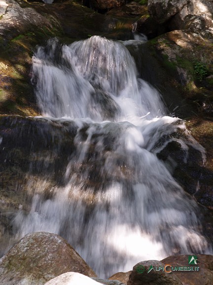 5 - Il Torrente del Saut subito a valle dell'omonima cascata (2005)