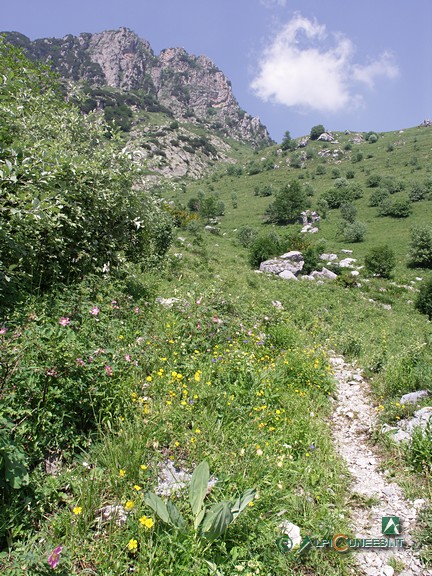 5 - L'assolato tratto che sale le pendici della Cima Baban, visibile sullo sfondo (2005)
