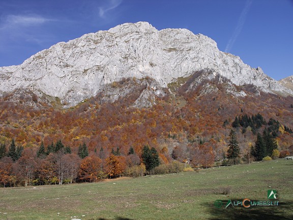 7 - Punta Bartivolera domina la radura di Pian del Creus (2006)