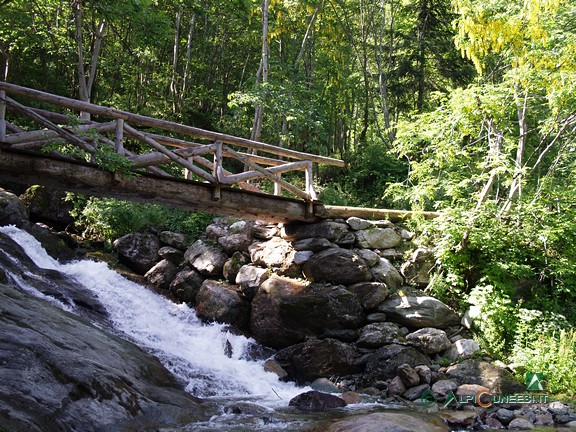 11 - Il ponte in legno che supera il Torrente del Saut (2007)