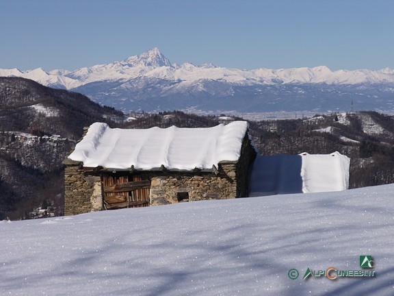 10 - Il Monviso da Tetti Baudinet (2010)