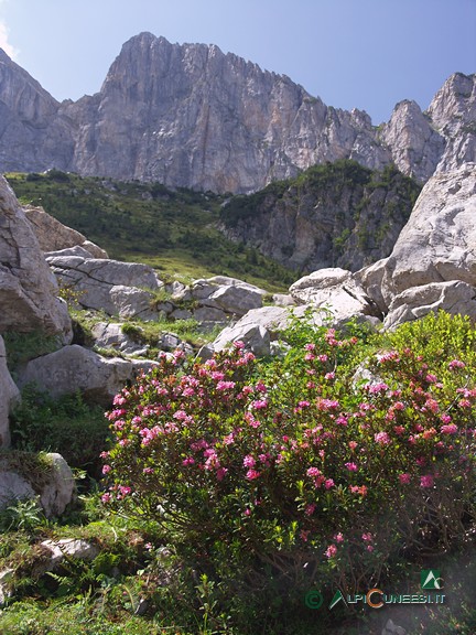 10 - Nel Vallone del Marguareis (2011)