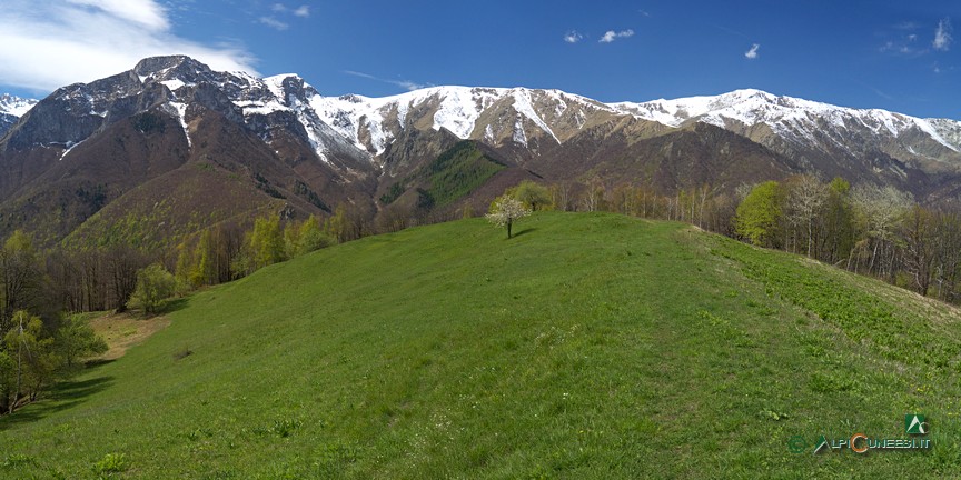 8 - L'ampio crinale prativo nei pressi di Cascina San Michele (2012)