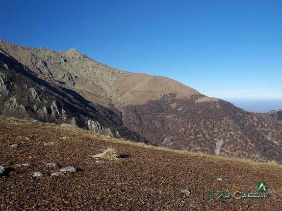 2 - Il Monte Besimauda dai pressi del Gias Pitté sottano (2015)