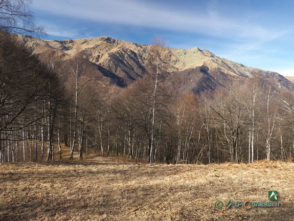 10 - Il crinale presso il Pra da Turta, con il Monte Besimauda sulla sfondo a destra (2016)