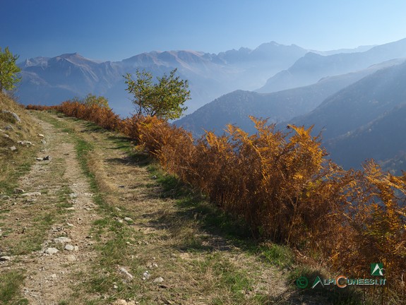 13 - La strada sterrata che dal Gias Praviné di mezzo torna alla Sella Morteis (2017)