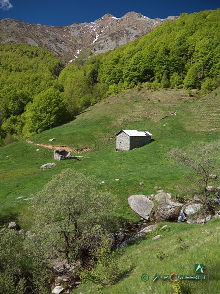 1 - La conca lambita dal sentiero (2021)