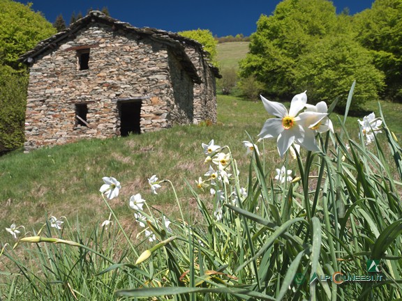 3 - Stalle nel Vallone Artondù (2021)