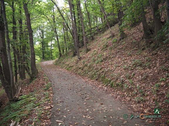 9 - La stradina asfaltata che scende da Cascina San Paolo (2023)