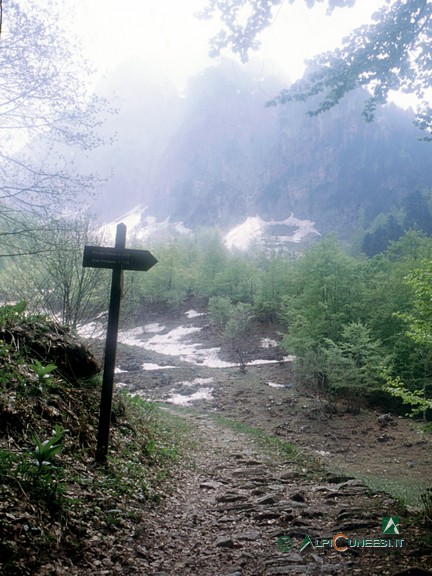 3 - Il bivio con il sentiero H10 che sale da Gias Fontana, nei pressi di Gias degli Arpi (2004)