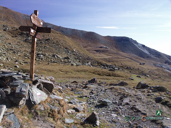 4 - Pian Armoine dal bivio per il Colle Armoine (2006)