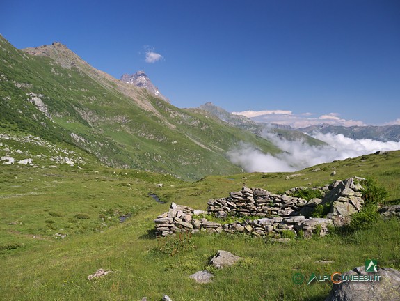 4 - I ruderi di un gias lungo il sentiero per il Lago Tartarea (2020) 4 - I ruderi di un gias lungo il sentiero per il Lago Tartarea (2020)
