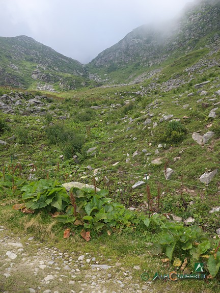 9 - Il colletto a forma di 'V' attraversato dall'itinerario, visto dal punto in cui cui bisogna abbandonare la strada sterrata presso le Meire Tartarea (2020) 9 - Il colletto a forma di 'V' attraversato dall'itinerario, visto dal punto in cui cui bisogna abbandonare la strada sterrata presso le Meire Tartarea (2020)
