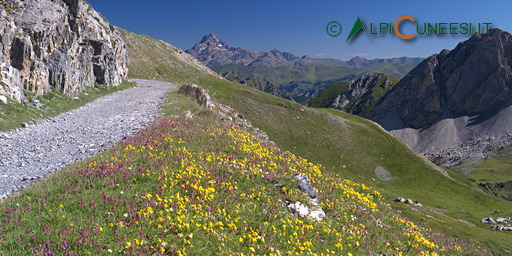 12.33 Colle Margherina - Rifugio della Gardetta - Colle del Preit - Colle Margherina