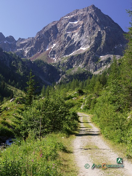 3 - La sterrata che risale il Vallone di Riofreddo. Il Monte Malinvern alla testata della valle (2005)