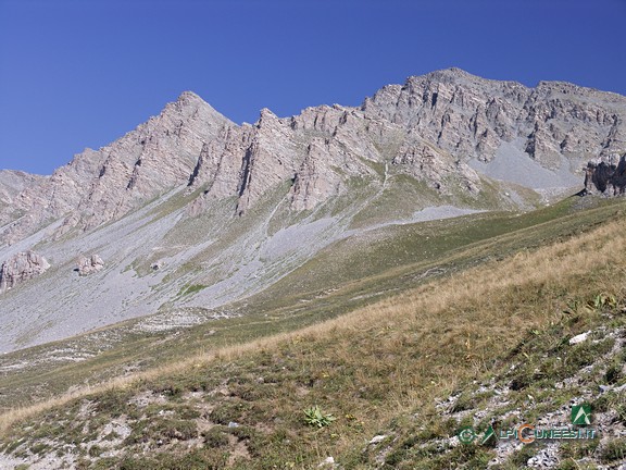 1 - I pendii pascolivi del Vallone di Ferriere (2005)