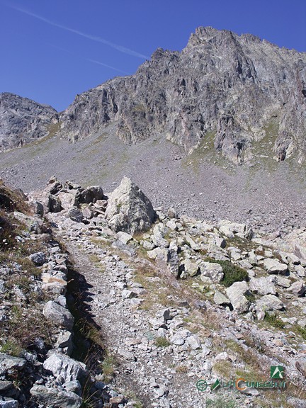 12 - La mulattiera che sale nell'alto Vallone di Pontebernardo; sullo sfondo, le Cime di Vens (2005)