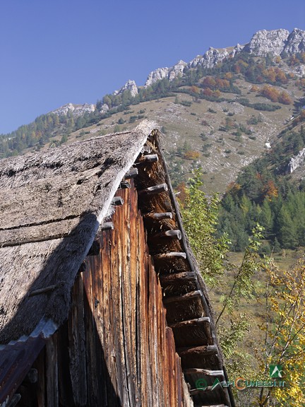 8 - Neraissa superiore, particolare di tetto in paglia (2005)