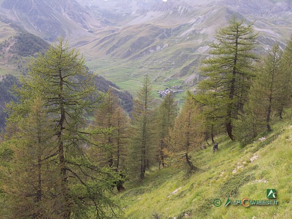 11 - Il Vallone di Ferriere dai pressi della Selletta del Becco Rosso (2006)