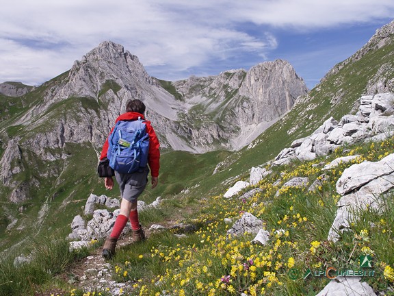 9 - Il Monte Salè a sinistra, e la Rocca di Salè a destra, alla testata del Vallone Serour (2007)