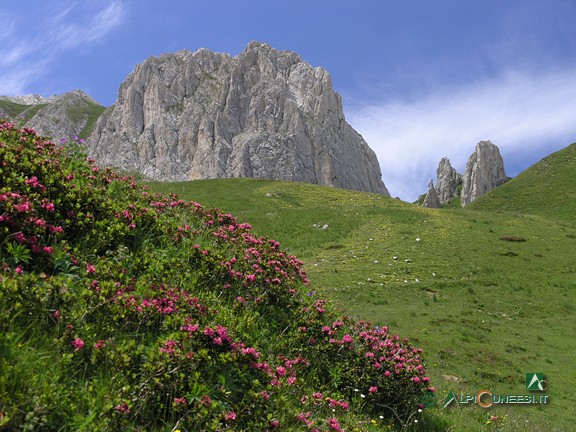 14 - La Rocca di Salè (2007)