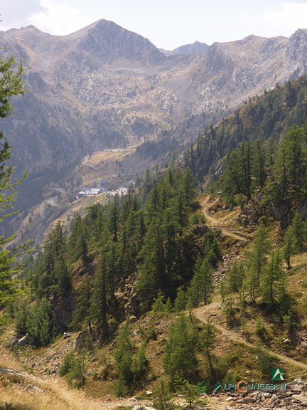 8 - Il sentiero dai pressi del Passo di Bravaria; sullo sfondo si intravvede Sant'Anna di Vinadio (2007)
