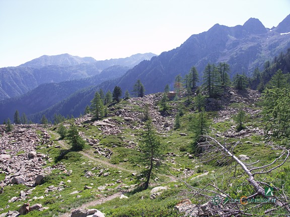 1 - L'ingresso del Vallone del Chiot della Roccia (2008)