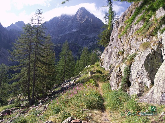 3 - Il tratto di sentiero, a monte del Rifugio Malinvern, che sale alla base di rocce montonate (2008)