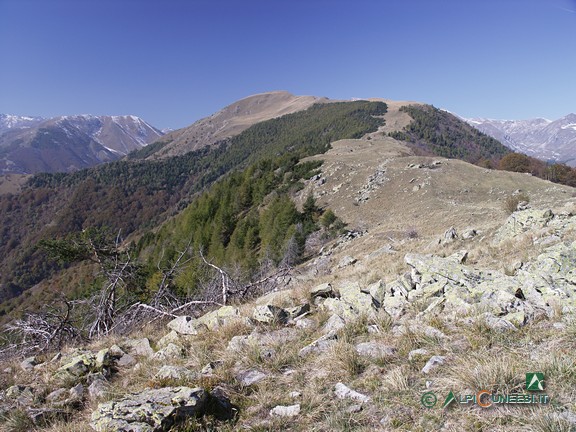 9 - La lunga dorsale pascoliva che dalla Testa di Peitagù arriva al Monte Corso del Cavallo (2009)
