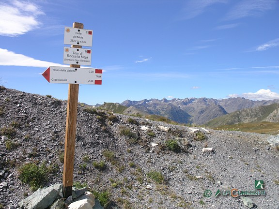 5 - Al Colle del Mulo (2010)