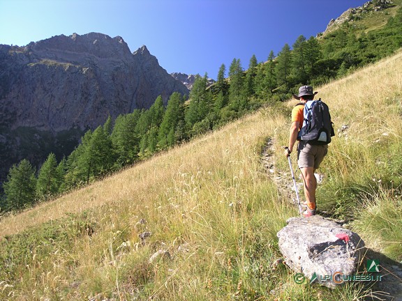 1 - I pendii prativi nel Vallone di Panieris (2011)