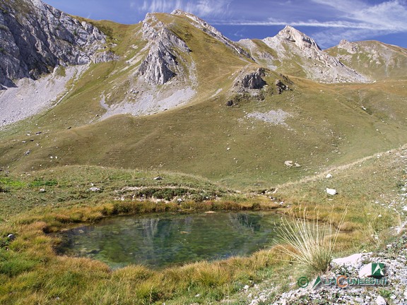 6 - La pozza d'acqua a fianco della pista sterrata e i pendii pascolivi della Val Chiaffrea (2011)
