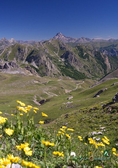 5 - Il Colle del Preit, quasi indistinguibile al centro della foto, dalla rotabile ex-militare (2012)