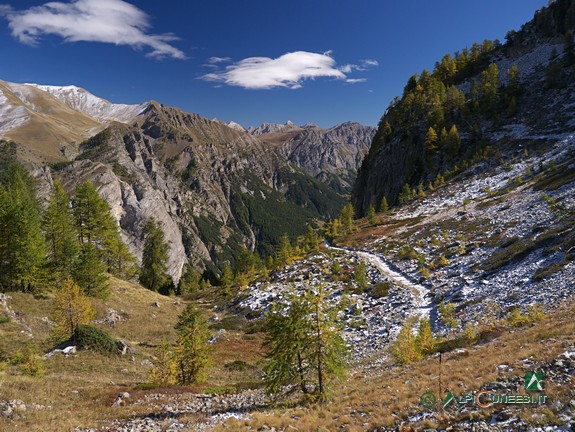 17 - La radura situata poco a valle della Selletta del Becco Rosso, attraversata dalla mulattiera ex-militare (2013)