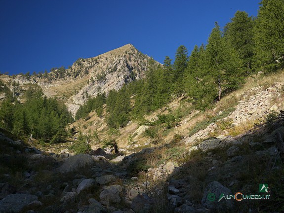 4 - Il Vallone dell'Aver, a valle del Lago dell'Aver sottano (2015)