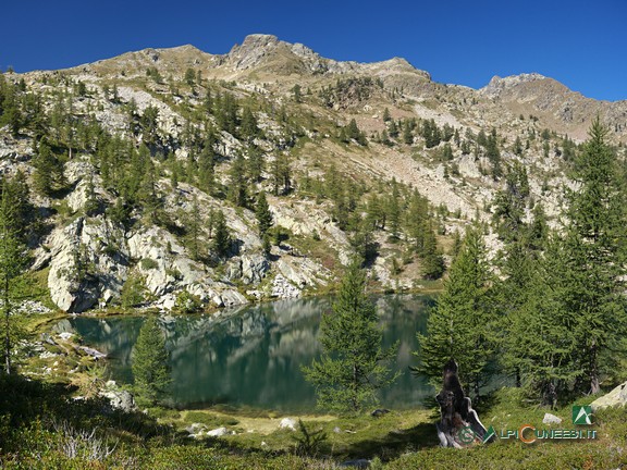 5 - Il Lago Martel circondato dai larici (2015)