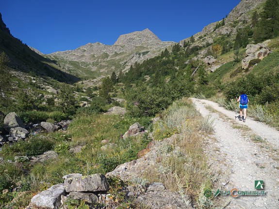 9 - Il Vallone di San Bernolfo dalla strada sterrata che lo risale (2020)