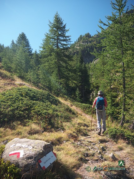 3 - Al bivio tra Passo della Sometta e Lago della Sauma (2021)