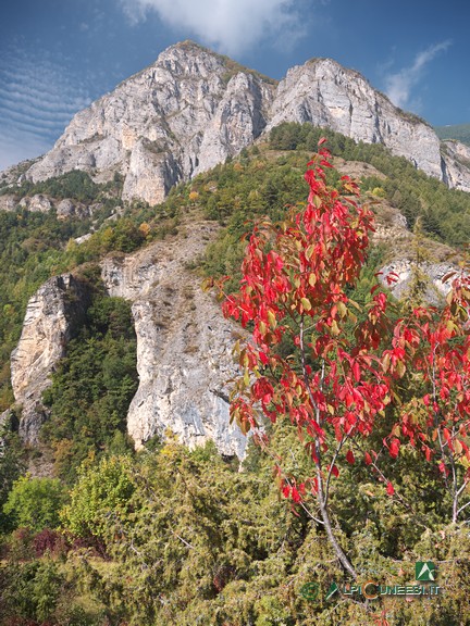13 - Panorama dal sentiero per Castellar delle Vigne (2021)