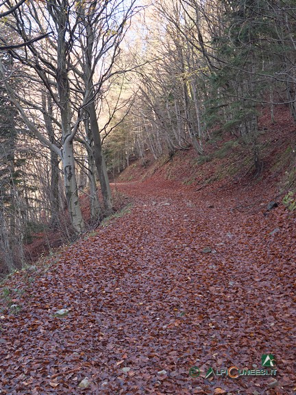 2 - La strada sterrata dopo Pra della Sala (2024)