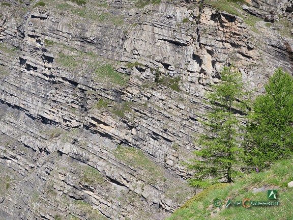 7 - Stratificazioni di rocce sedimentarie (2025)