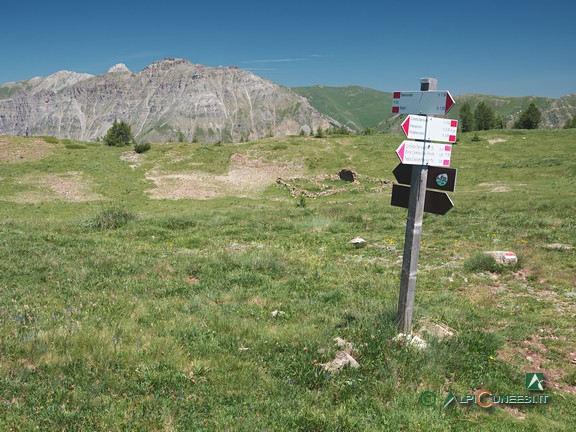 8 - Il pianoro pascolivo che ospita il Ricovero Monte Vaccia (2026)