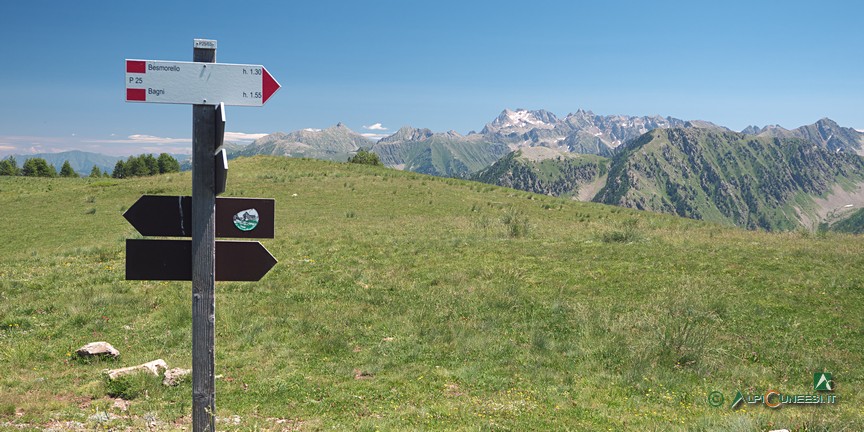 10 - Panorama dai pressi del Ricovero Monte Vaccia (2026)