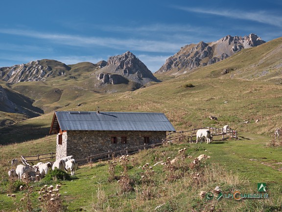 12 - Il Rifugio Don Martini (2026)