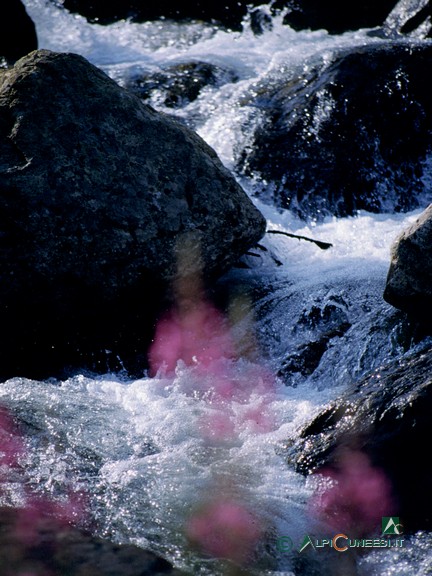 3 - Giochi d'acqua nel Vallone dell'Ischiator (2001)