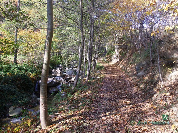 1 - La mulattiera che sale al Mulino del Fossato, in un bosco di latifoglie a fianco del Rio Chiapino (2005)