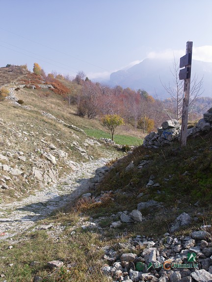 8 - La Colla di Chionea; in primo piano la mulattiera che sale da Chionea (2005)