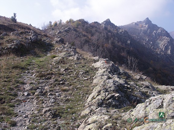 3 - La prima parte del sentiero sulla Costa Valcaira (2005)