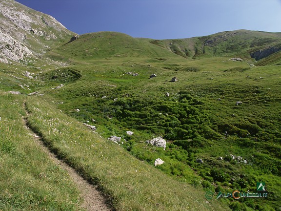 6 - I pendii pascolivi, su terreno carsico, nell'alto Vallone delle Saline. Sullo sfondo, il Passo delle Saline (2006)